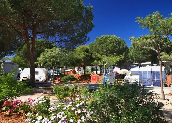Mobil Avec Terrasse A - Api-1-52-1866 Camping Marbella